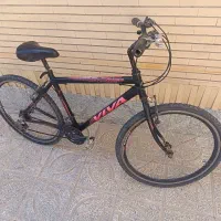 دوچرخه ویوا سایز ۲۶ اصلی