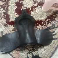 زین برنو بادهنه