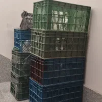 سبد میوه بزرگ و سالم