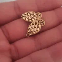 یک پروانه طلا گمشده