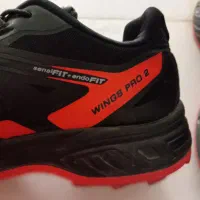 کتانی|کیف، کفش، کمربند|میانه, |دیوار