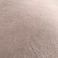 موکت تمیز وسالم