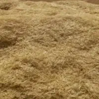 فروش کاه کمباین کوب
