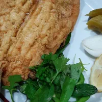 اموزش غذای ایرانی، فست فود ، فرنگی|خدمات آموزشی|یزد, |دیوار