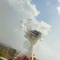 رز،روبانی تک شاخه