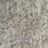 فروش ۱۵کیلو برنج لنجان با کیفیت