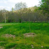 اجاره سوییت در روستا