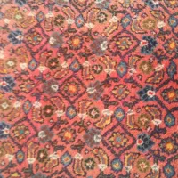 قالی دستباف|فرش|تهران, فلسطین (میدان انقلاب)|دیوار