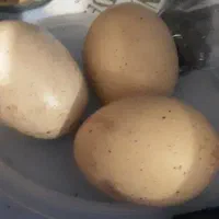 تخم مرغ بومی نطفه دار