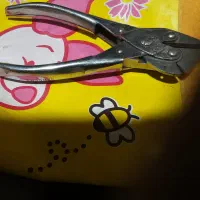 امبردست وسیم چین