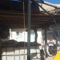 وسایل ورزشی|تجهیزات ورزشی|کبودرآهنگ, |دیوار