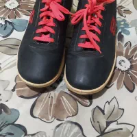 کفش|کیف، کفش، کمربند|گالیکش, |دیوار