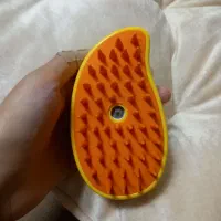 برس بخار طرح انبه