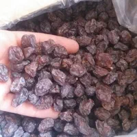 مویز و کشمش