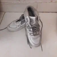 پالتو|لباس|کرج, کوی امامیه|دیوار