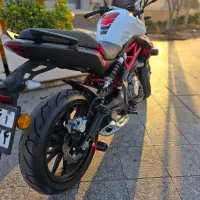 بنلی جفت 310 مدل 1400 در حد صفر|موتورسیکلت|مشهد, شریف|دیوار