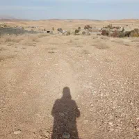 زمین ویلایی1000متری معاوضه با سواری|فروش زمین و ملک کلنگی|ارژن, |دیوار