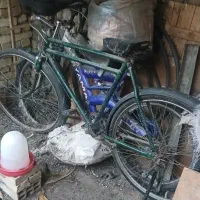 دوچرخه یا چرخ چینی سه مار