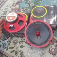سرو صدا . میدرنج سایز ۶