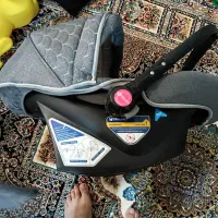 کریر نوزاد نو|کالسکه و لوازم جانبی|بهار, |دیوار