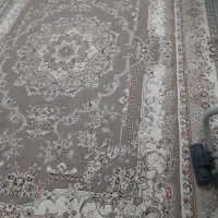 فرس ۱۲متری سالم و نو