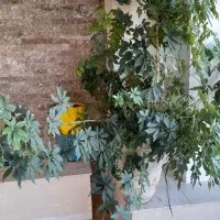 گل طبیعی و خانگی