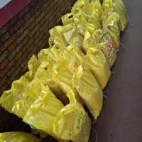 برنج عنبربو تیلکی گتوند