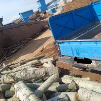 خریدار چوب خشک و تر|خدمات باغبانی و درختکاری|نیر (اردبیل), |دیوار