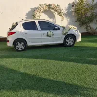 ۲۰۷ پانا مدل ۴۰۳