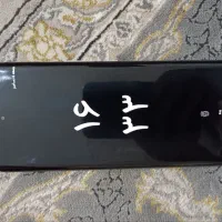 داریا باند1