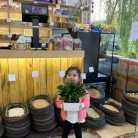 استخدام درفروشگاه میوه وسبزی بابیمه تامین اجتماعی