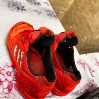 کتونی zxلگو قرمز|کیف، کفش، کمربند|شوش, |دیوار