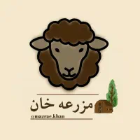 ۳۱۰ راس گوسفند بره نر افشار ‌پرواری و پای پروار