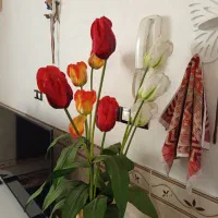 گل و گلدان|گل مصنوعی|کرمانشاه, |دیوار