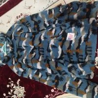 کاپشن و هودی اورجینال|لباس|رودسر, |دیوار