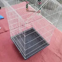 قناری نر|پرنده|صومعه‌سرا, |دیوار