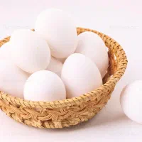 پخش تخم مرغ و خرمای خدابخش