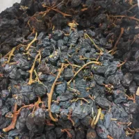 مویز درجه ۱|عمدهفروشی|شیراز, گلستان|دیوار