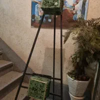 فروش پایه تاج گل|گل و گیاه طبیعی|تهران, تهرانپارس غربی|دیوار