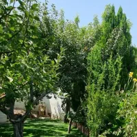 اجاره سالیانه باغ ویلای شهرکی در زیبادشت|اجارهٔ خانه و ویلا|محمدشهر, زیبادشت|دیوار