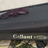 تردمیل تایوانی|تجهیزات ورزشی|تهران, شهرک دریا|دیوار