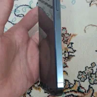 ایفون ۱۲ پرو|موبایل|تربت‌حیدریه, قائم|دیوار