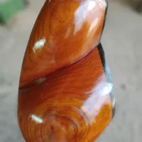 ساز سنتی تار