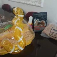 قفس  جزیره همستر با وسایل و غذا
