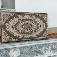 شش عدد پشتی