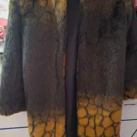 پالتو بهاره