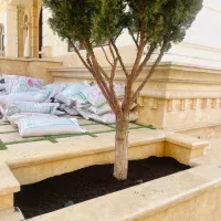 کود ورمی کمپوست صادراتی|عمده‌فروشی|رودهن, |دیوار