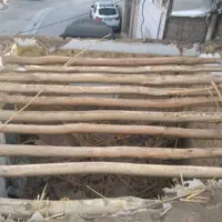 خرید انواع چوب خشک