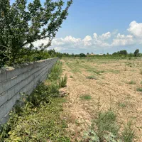 باغچه ۳۰۰ متری بر آسفالت / انشعابات پای ملک|فروش دفتر صنعتی، کشاورزی، تجاری|کیاکلا, |دیوار