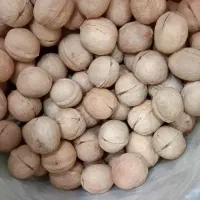 گردو کاغذی پرمغز